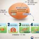 GS 더 프레시 장유삼문점 계란