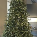 가람스테이2 | 울산 호텔 추천 신라스테이 울산 스탠다드 DayUse 반나절 호캉스 후기