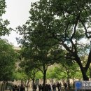 라 까사(La Casa) 이미지