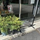 으뜸빌 | 익산 부송동 카페 | 시지프압생트투 : 익산 호주 커피 &amp; 잔잔한 북 카페