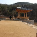 수목정 Daum카페