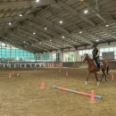 대덕승마장 이미지