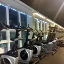 킹 휘트니스 이미지