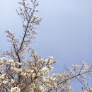 무궁화공원화장실(운동장) 이미지