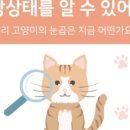 수색동물병원 이미지