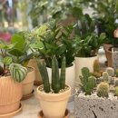 세븐일레븐 수원점 이미지