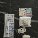 백점크린 | 다이소 자외선차단제 어때? 다이소 선크림 추천 _소소템 나만의 DIY 모루인형 만들기 키트, 이어폰...