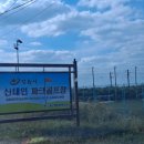 보니파크