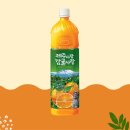 펫12