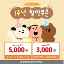 온니애견미용 이미지