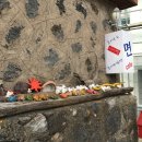 미도장여관 | 여자 혼자 떠나는 2박 3일 제주여행 1일차 : 나루면빨, 망고레이 애월, 앤트러사이트 한림, 오는정김밥...
