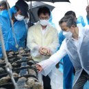 마량의원 이미지