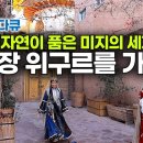 대자연의 위대한 비경 속 환상적인 세계! 신장 위구르 자치구를 가다｜톈산 산맥부터 실크로드 따라 사막의 오아시스까지 이미지