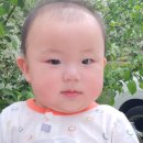 북상면횟집 이미지