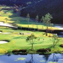 소피아그린 이미지