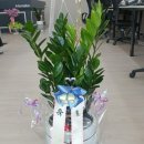 현대수족관 이미지