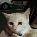 미션클리어 이미지