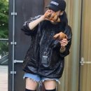 퍼피하우스 이미지