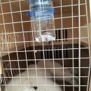 다루농장 이미지