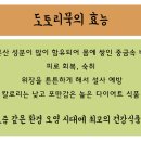 다람골 웰빙 도토리묵 - 서구 | 다람골 웰빙 도토리묵