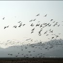 개선농장 이미지