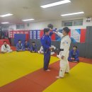 용인대 에스유도클럽 이미지