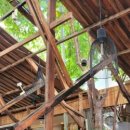 85번 과일가게 이미지