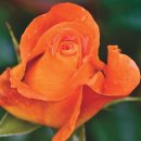 에이엠메디칼 이미지