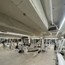 인싸짐 계산점 이미지