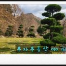 화산면580 이미지