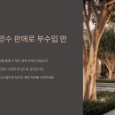 [단기과정 3차]매력적인 숏폼 콘텐츠 만들기[8주] | 🌿조경수 판매로 부수입 만들기