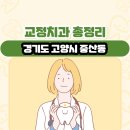 경기도 고양시 중산동 교정치과 총정리