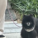 덥기전에 움적여보자..이제너무 더워...