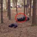 태종목장 이미지