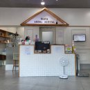 나아라 동물병원 이미지