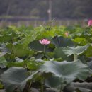 교동1리 마을회관 이미지