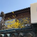 씨유 대전지족드림점 | 공주님의 공주 나들이 👸🏻🏰