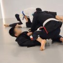 대청주짓수 | 막내를 위해 찾아본 장유체육관 대청주짓수 !! 막내도 좋다고해서 바로 등록해버린후기 !!