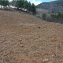 수림자원 이미지