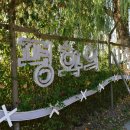 고양누리길 6코스 평화누리길 | 고양누리길, 6코스 평화누리길(2024.11.22)
