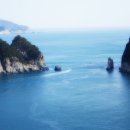 소나무향기펜션 이미지