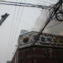 호박관광나이트 이미지