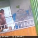 표범발