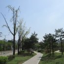 오목호수 이미지