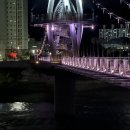 도그어게인 | Lucky color