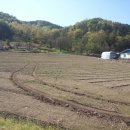 삼부자농장 이미지