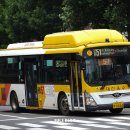 간선-51 이미지