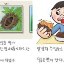 아람 이미지