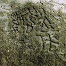 불로초교 이미지