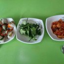 내 손으로 만드는 고양이 케이크